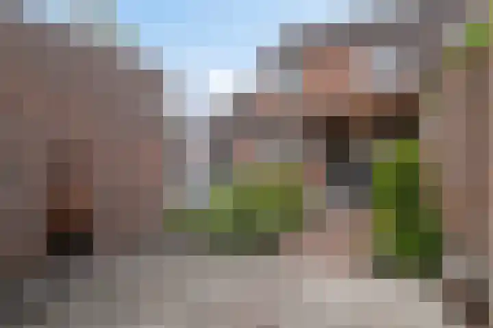 Albardastraat 40 Goes thumbnail 43