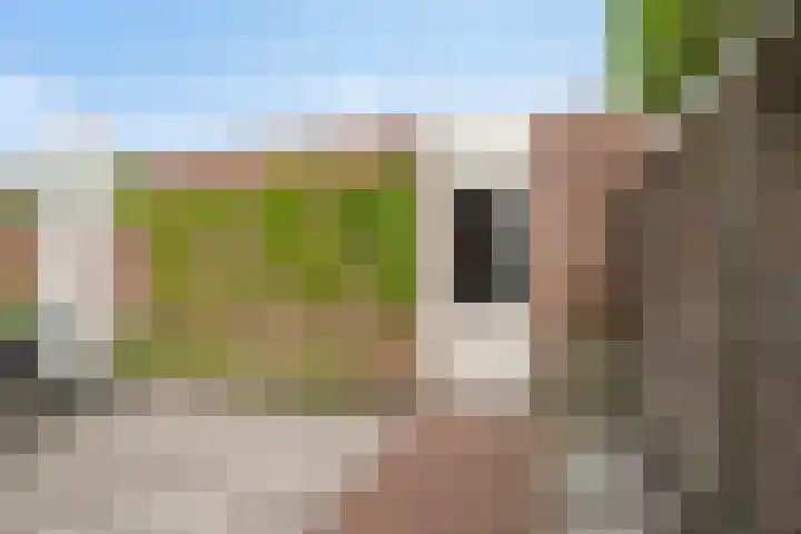 Albardastraat 40 Goes thumbnail 45