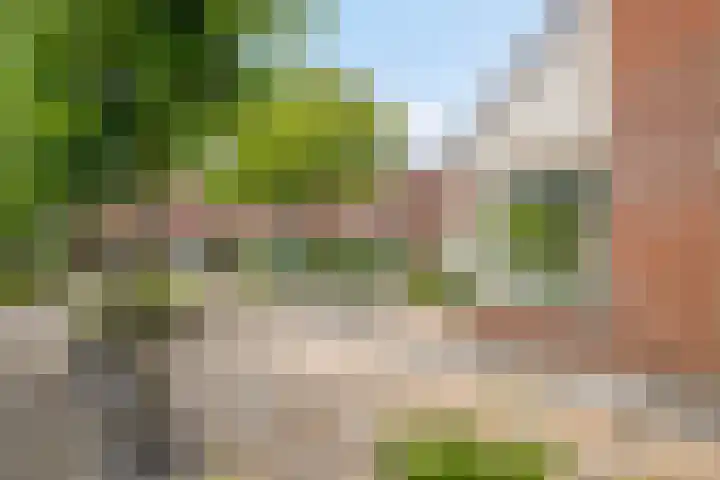 Albardastraat 40 Goes thumbnail 47