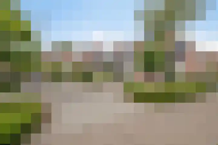 Albardastraat 40 Goes thumbnail 50