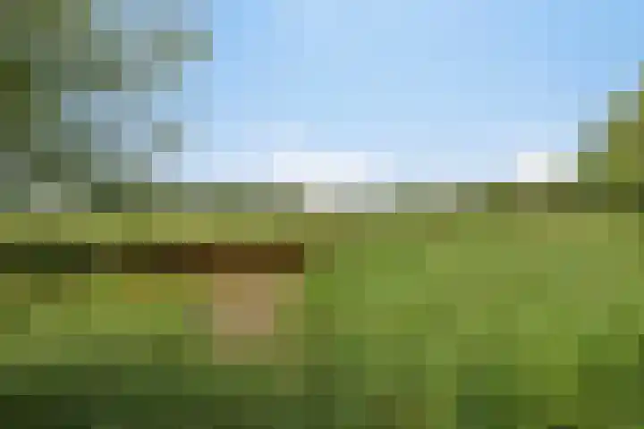 Albardastraat 40 Goes thumbnail 52