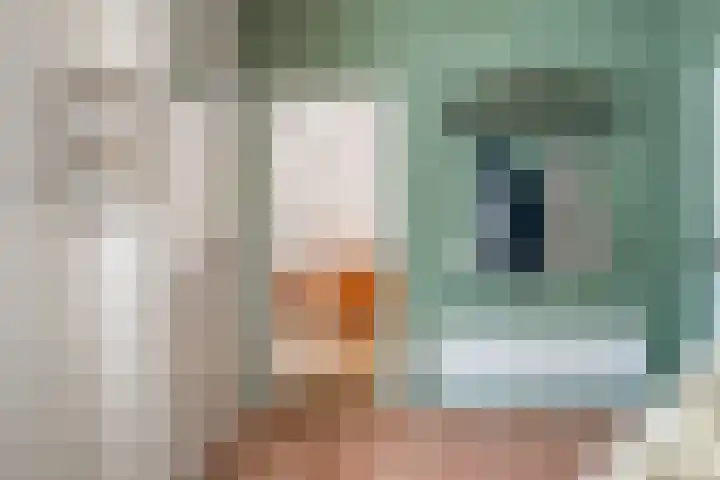 Albardastraat 40 Goes thumbnail 6