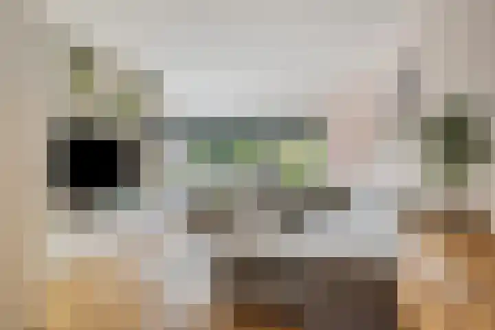 Albardastraat 40 Goes thumbnail 8