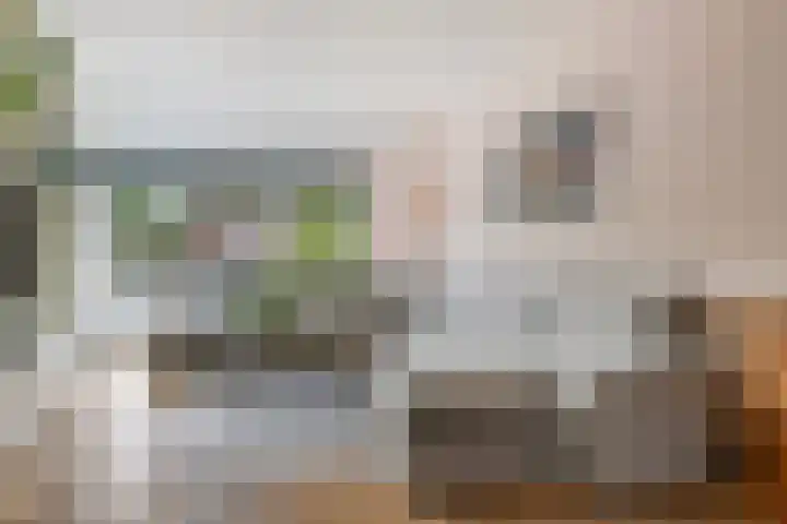 Albardastraat 40 Goes thumbnail 9