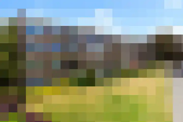 Albardastraat 54 in Apeldoorn