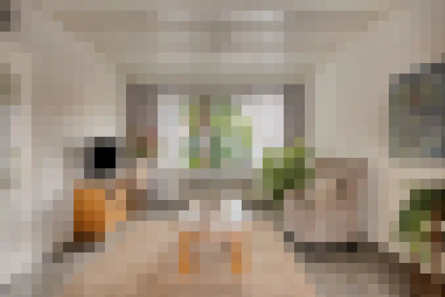 Albardastraat 79 Oss thumbnail 10