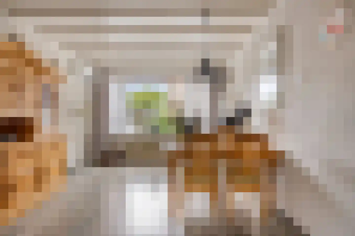 Albardastraat 79 Oss thumbnail 12