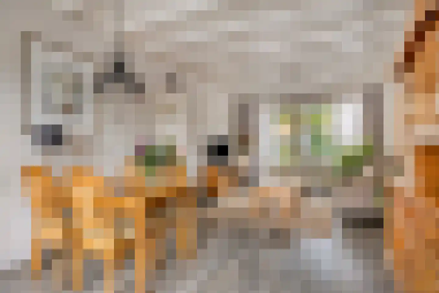 Albardastraat 79 Oss thumbnail 14