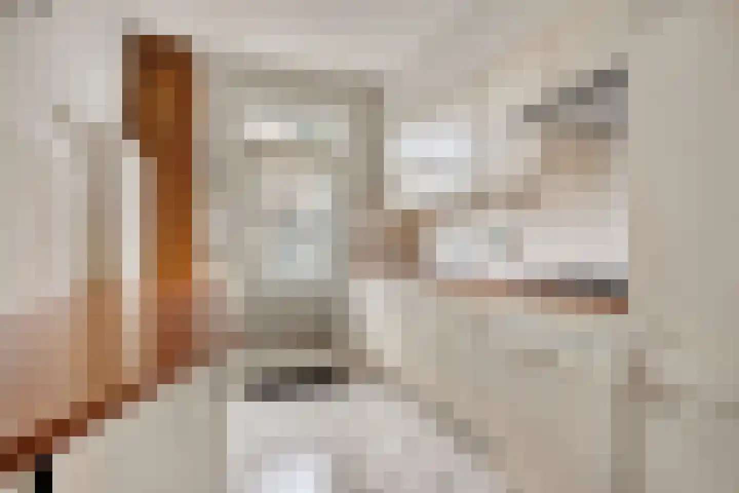 Albardastraat 79 Oss thumbnail 15