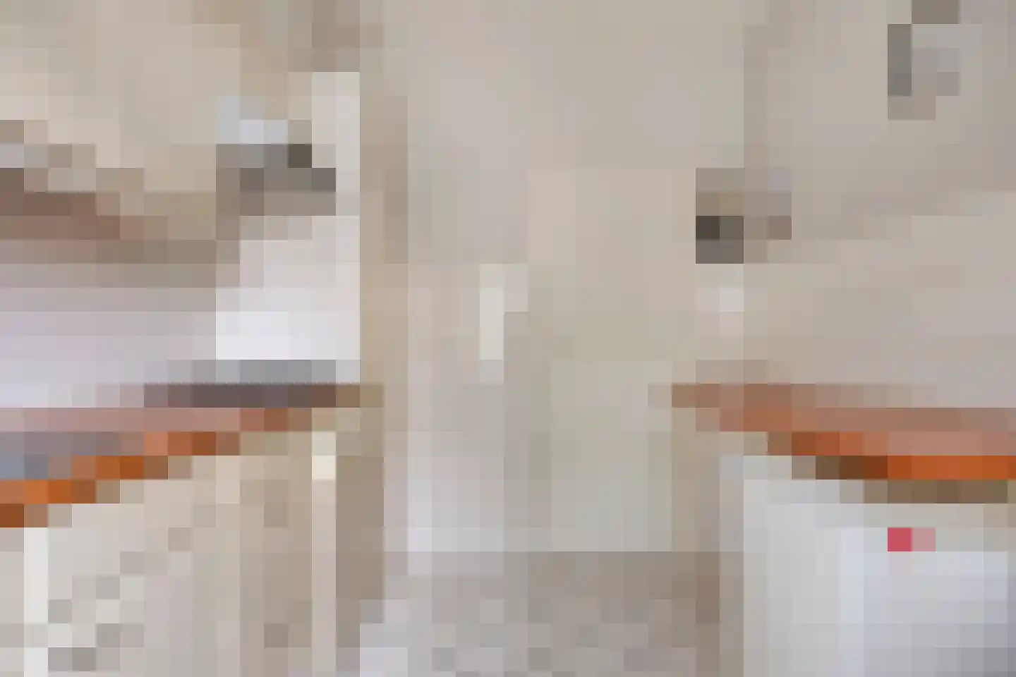 Albardastraat 79 Oss thumbnail 17