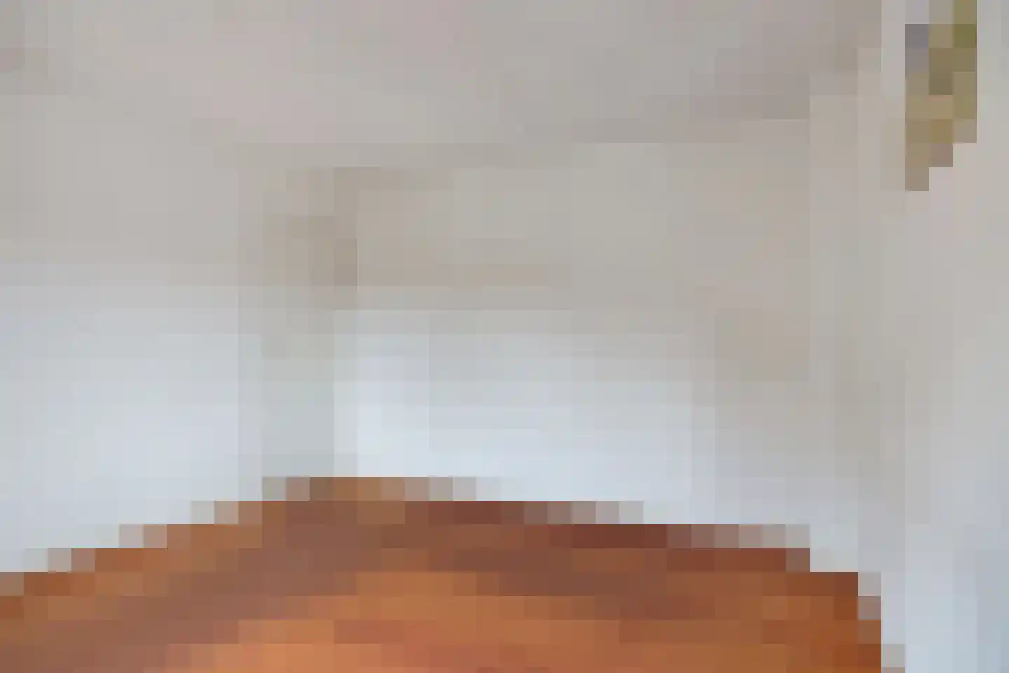 Albardastraat 79 Oss thumbnail 25