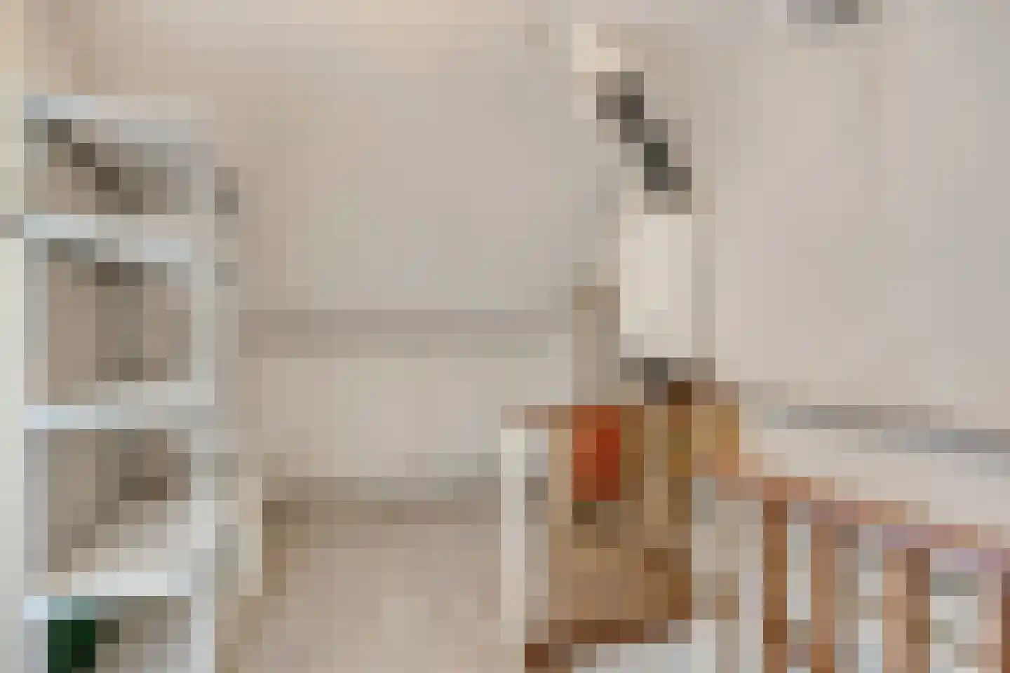 Albardastraat 79 Oss thumbnail 32