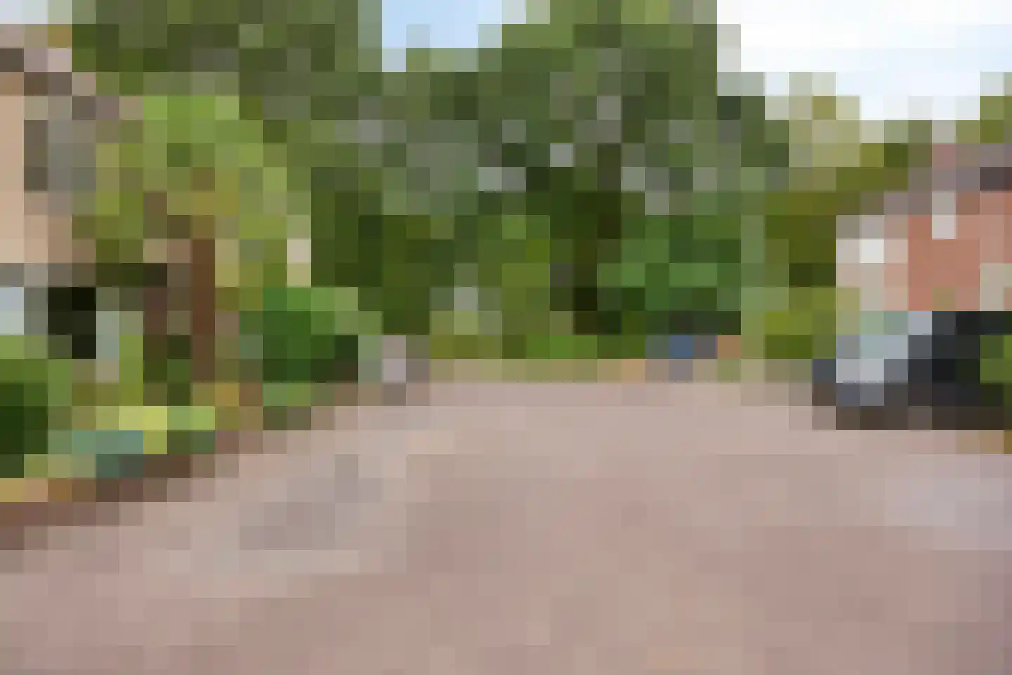 Albardastraat 79 Oss thumbnail 36