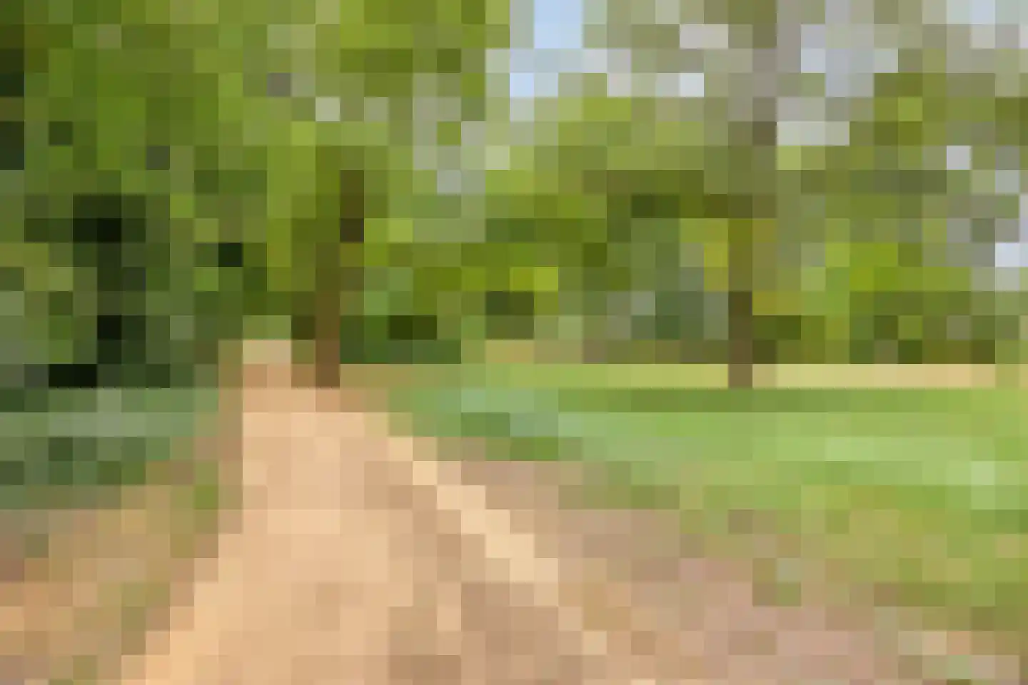 Albardastraat 79 Oss thumbnail 38