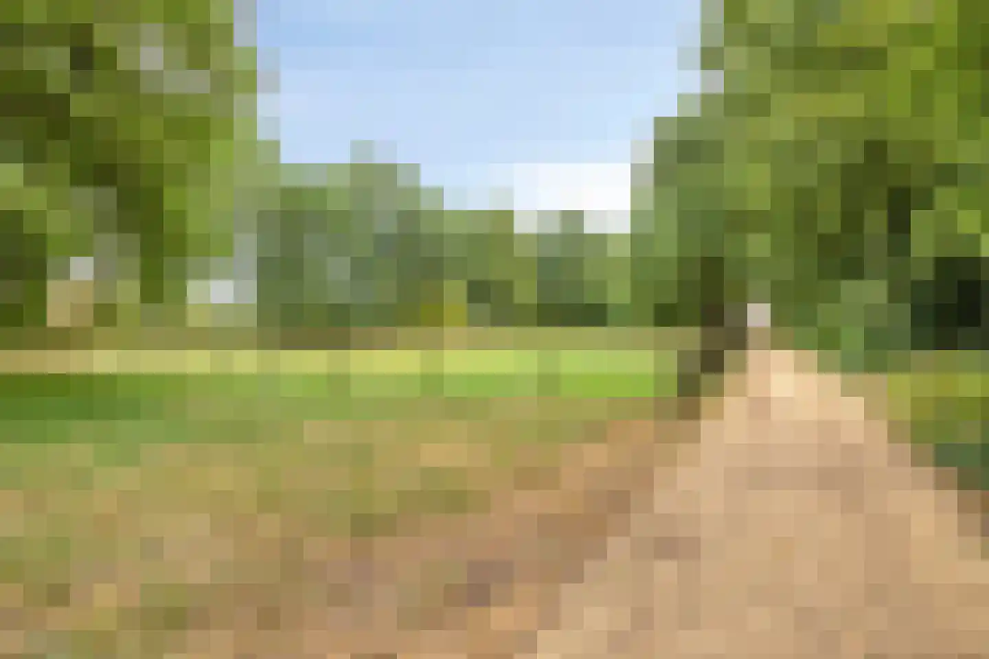 Albardastraat 79 Oss thumbnail 39