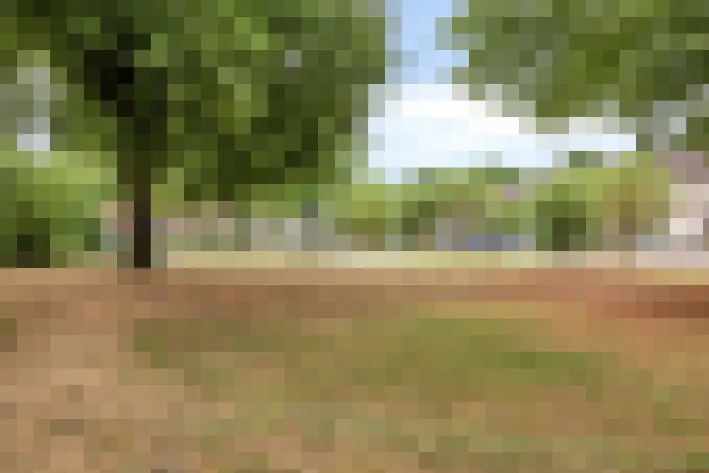 Albardastraat 79 Oss thumbnail 40
