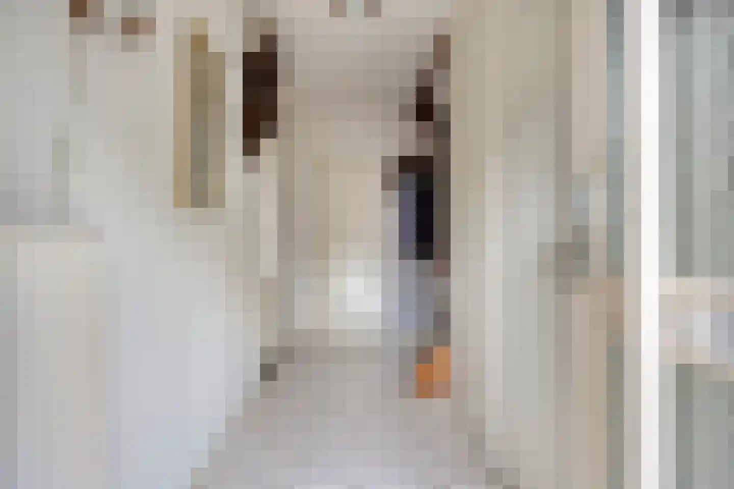 Albardastraat 79 Oss thumbnail 7