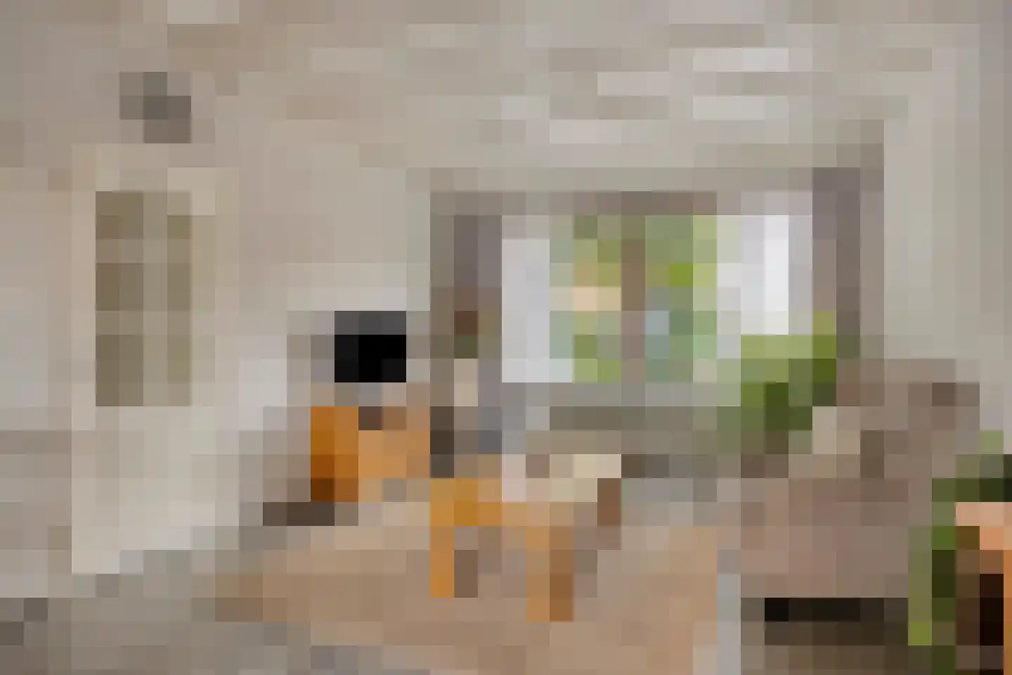 Albardastraat 79 Oss thumbnail 9