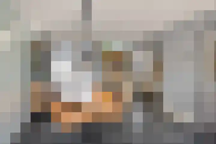 Albardastraat 9 Sneek thumbnail 12