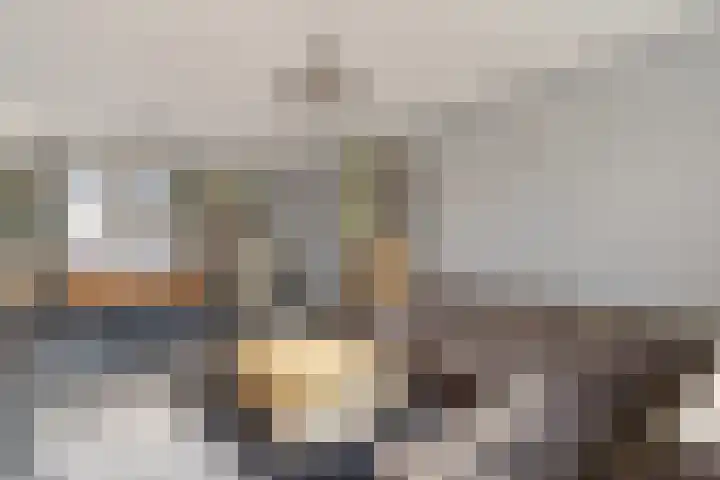 Albardastraat 9 Sneek thumbnail 13
