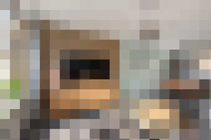 Albardastraat 9 Sneek thumbnail 14