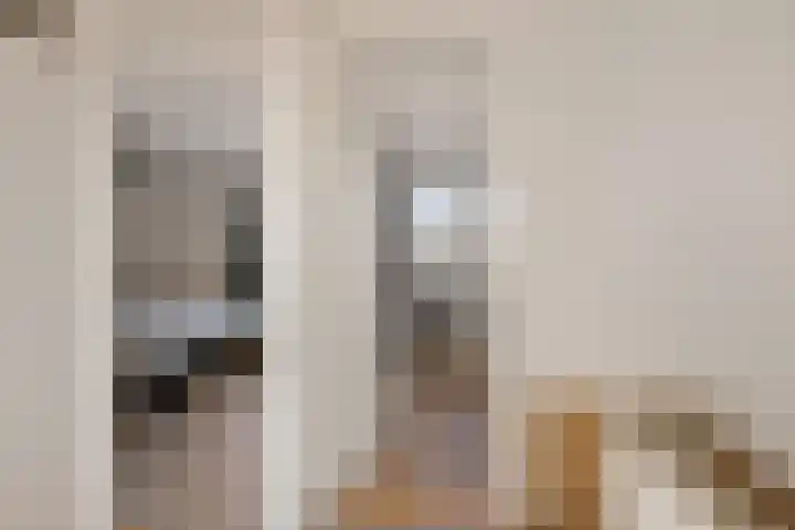 Albardastraat 9 Sneek thumbnail 24