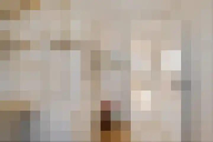 Albardastraat 9 Sneek thumbnail 31