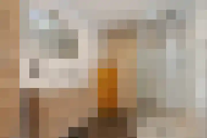 Albardastraat 9 Sneek thumbnail 34