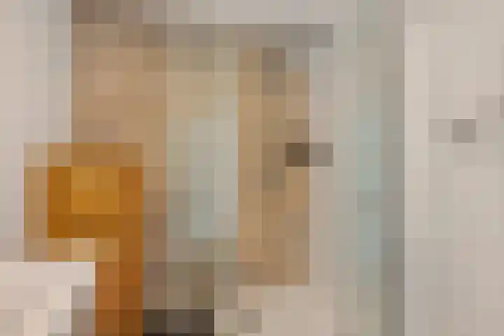 Albardastraat 9 Sneek thumbnail 35