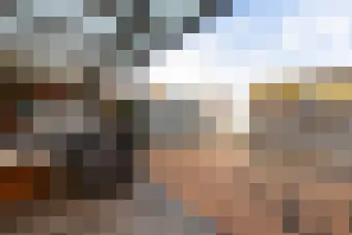 Albardastraat 9 Sneek thumbnail 38