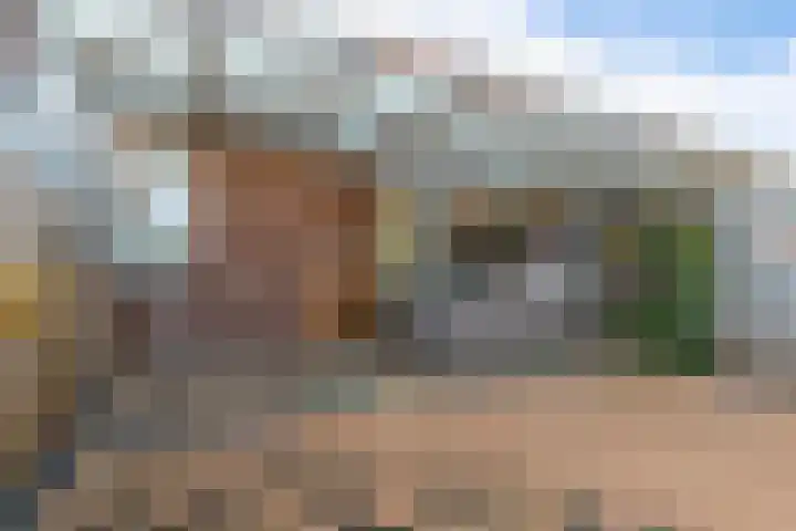 Albardastraat 9 Sneek thumbnail 39