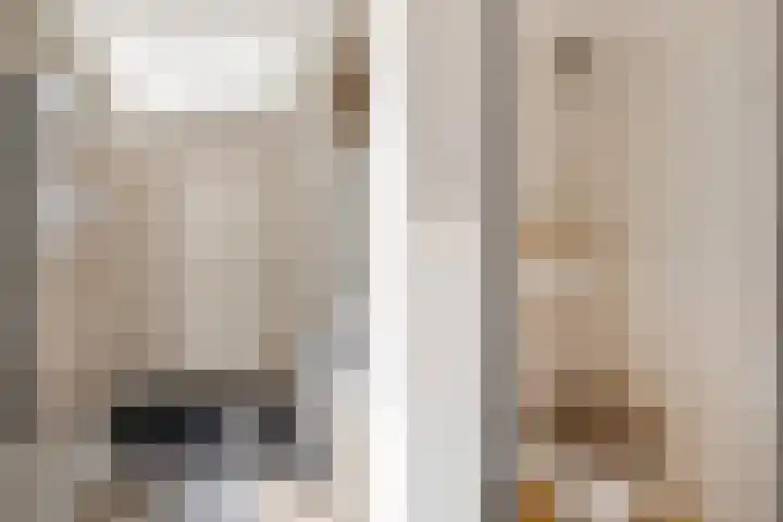 Albardastraat 9 Sneek thumbnail 43