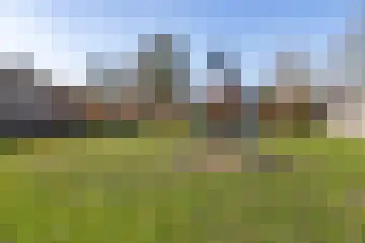 Albardastraat 9 Sneek thumbnail 7