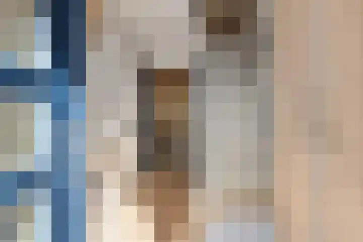 Albardastraat 9 Sneek thumbnail 8