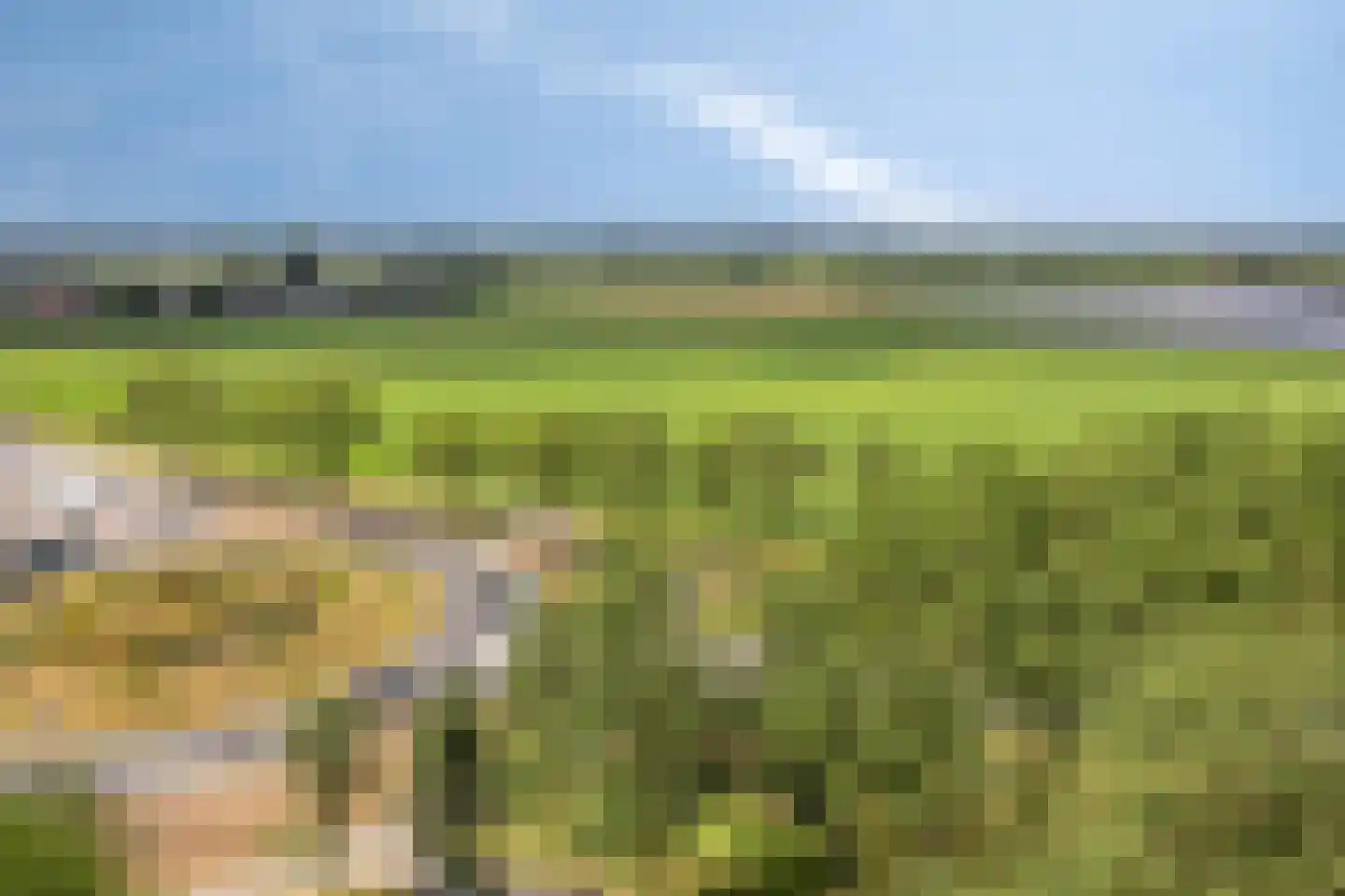 Albardaweg 111 Wageningen thumbnail 30