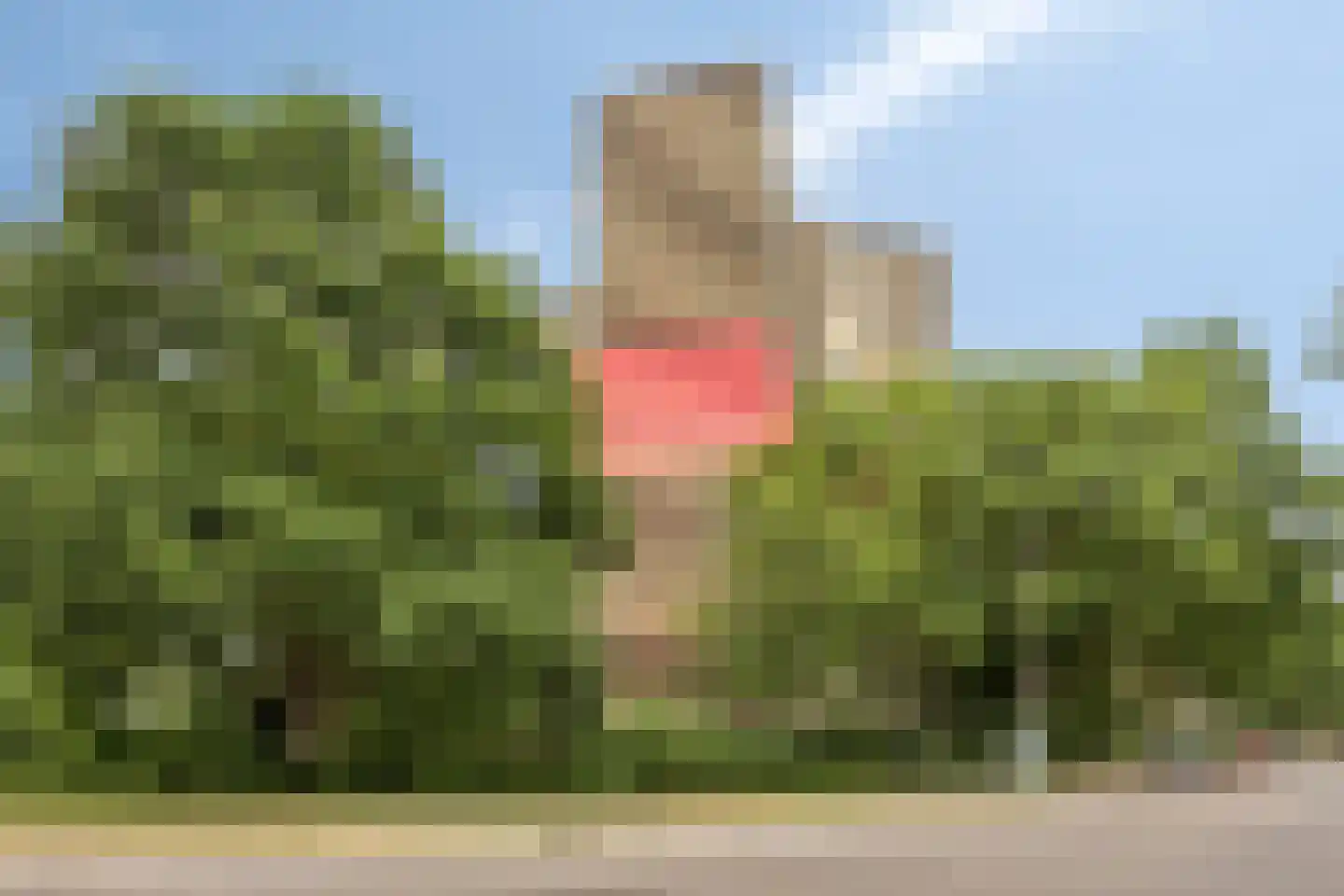 Albardaweg 111 Wageningen thumbnail 5