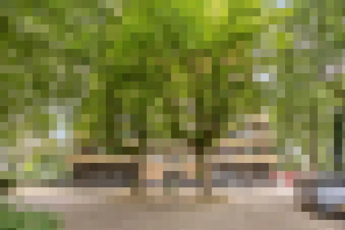 Albardaweg 111 Wageningen thumbnail 6