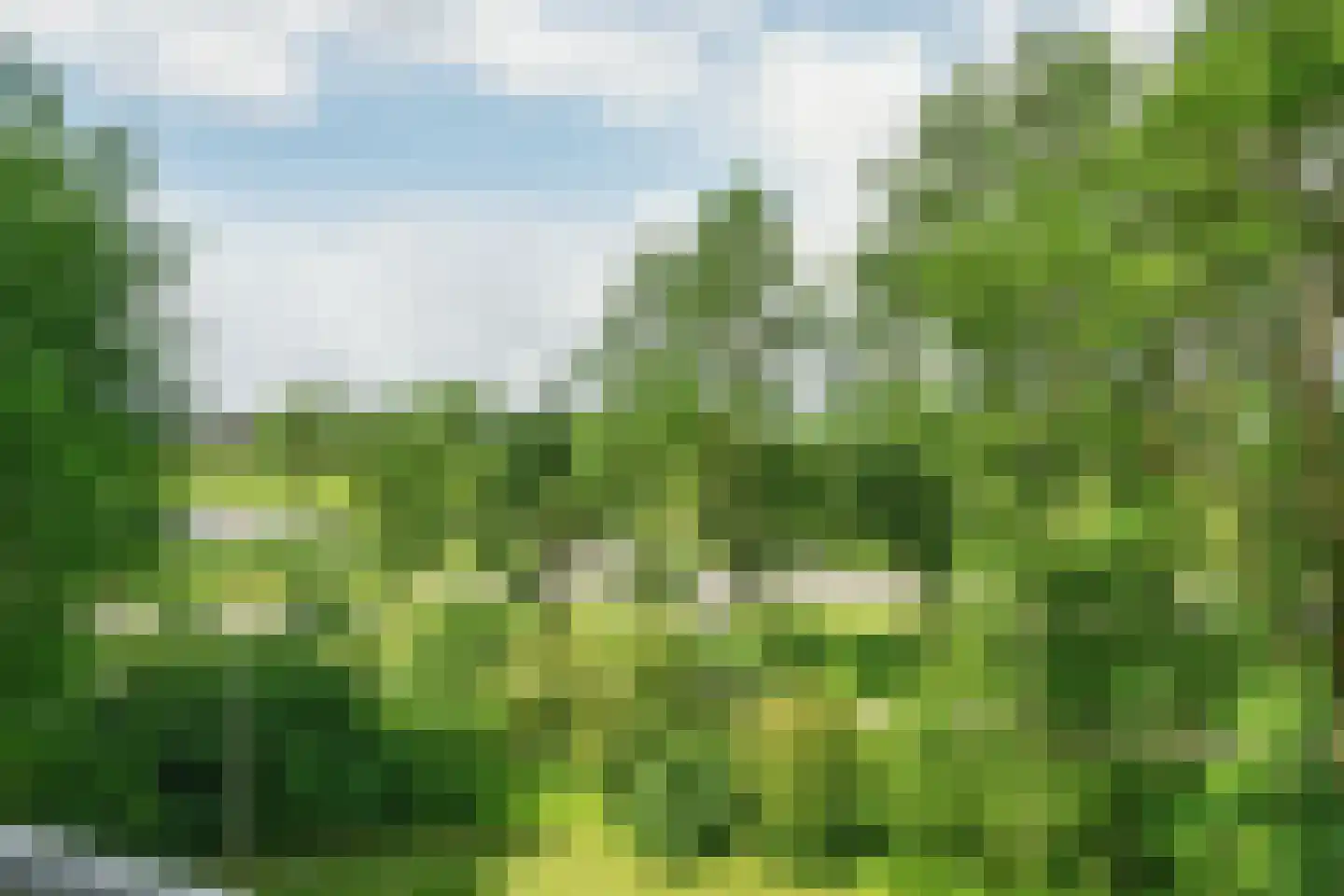 Albardaweg 27 Wageningen thumbnail 21