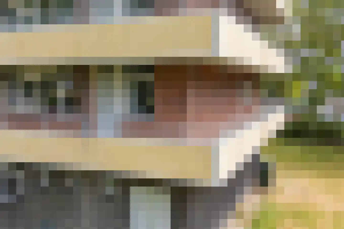 Albardaweg 3 Wageningen thumbnail 31