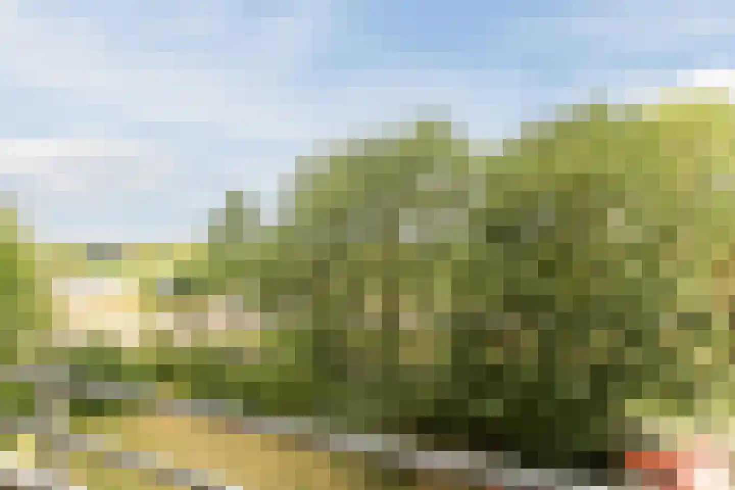 Albardaweg 37 Wageningen thumbnail 27