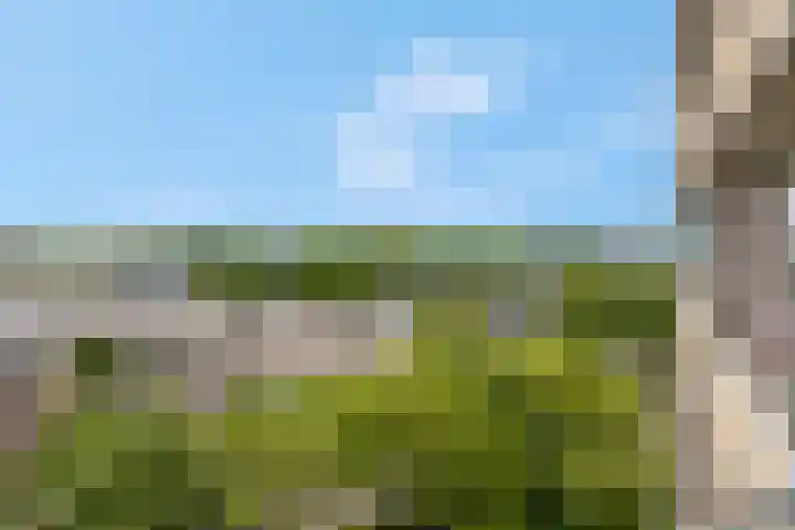 Albardaweg 85 Wageningen thumbnail 17