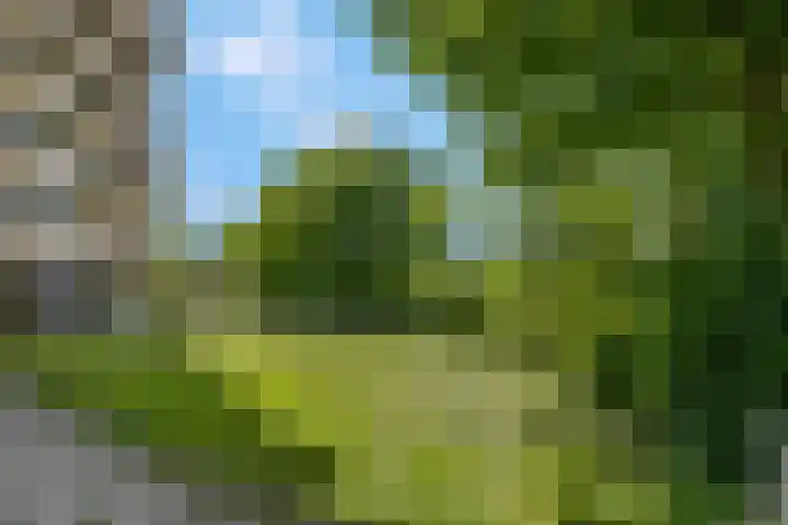 Albardaweg 85 Wageningen thumbnail 28