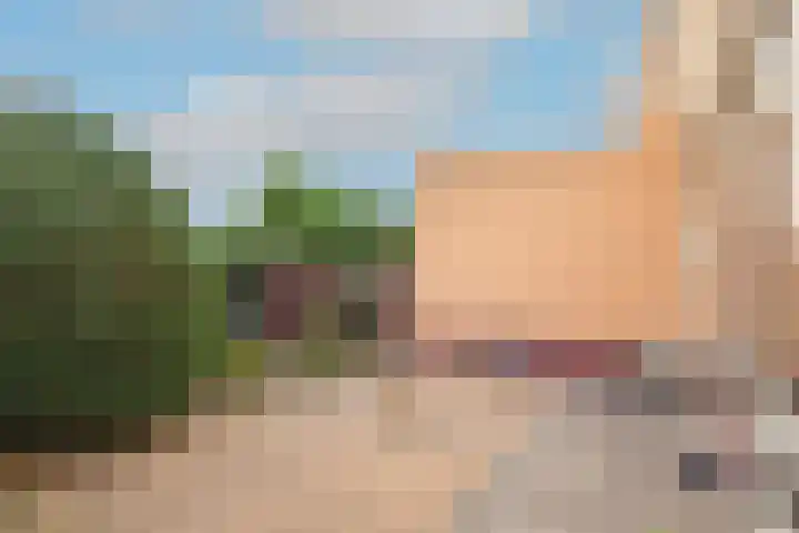 Albast 12 Heerhugowaard thumbnail 28