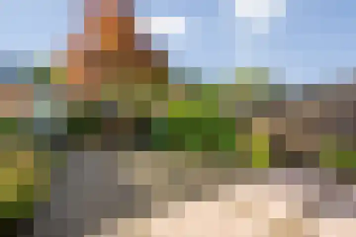 Albast 16 Zoetermeer thumbnail 25