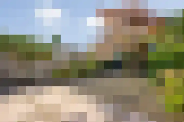 Albast 16 Zoetermeer thumbnail 26