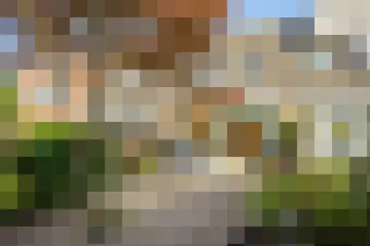 Albast 16 Zoetermeer thumbnail 27
