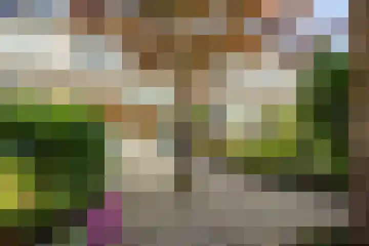 Albast 16 Zoetermeer thumbnail 28