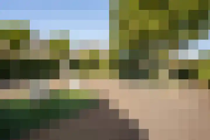 Albast 16 Zoetermeer thumbnail 32