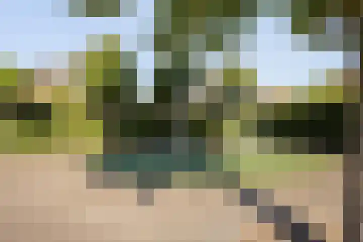 Albast 16 Zoetermeer thumbnail 33