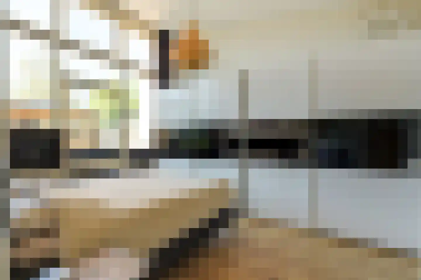 Albast 21 Heerhugowaard thumbnail 30